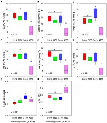 Contrasting responses of soil microbial biomass and extracellular enzyme activity along an elevation gradient on the eastern Qinghai-Tibetan Plateau